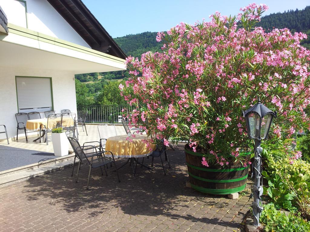 Ferienweingut-Liebfried Hotel Nehren  Exterior photo